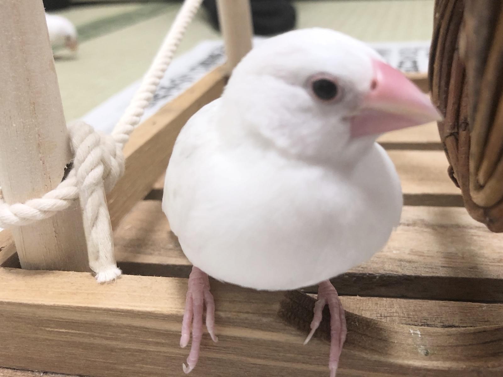 まるちゃん まるちゃん