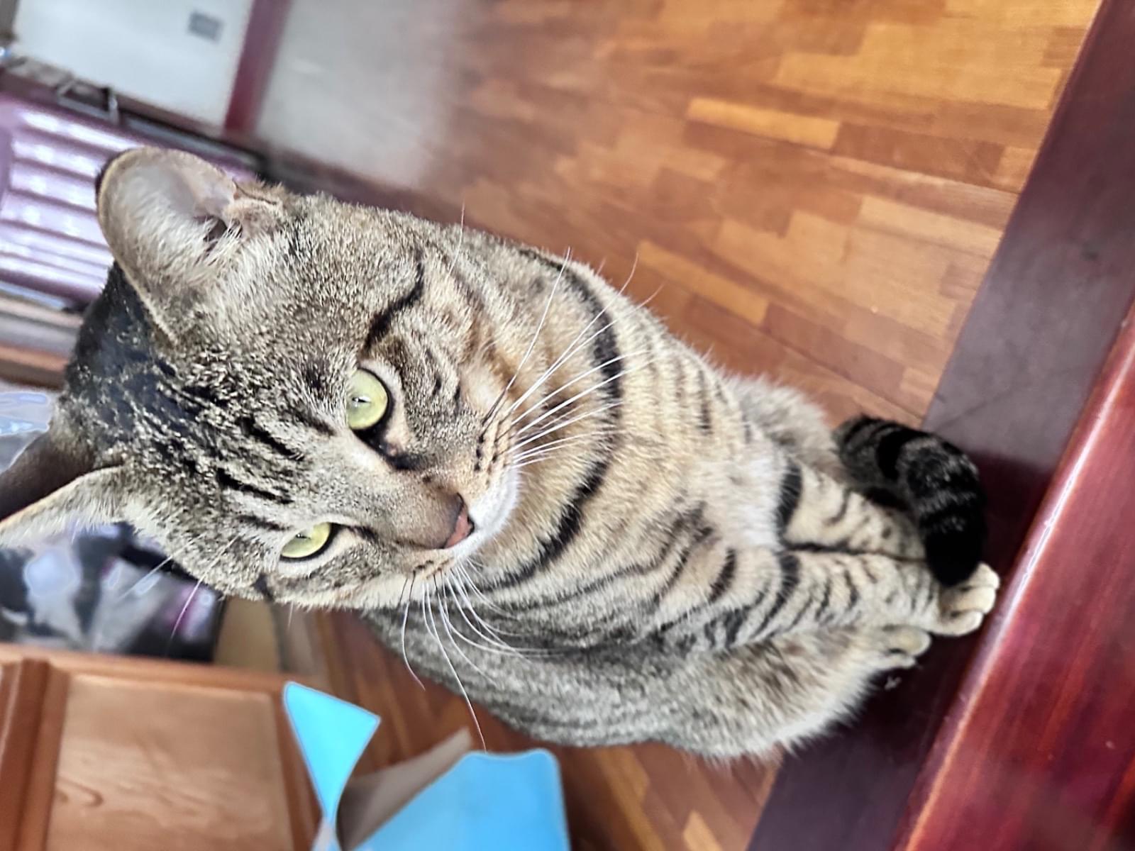 諭吉ちゃん 諭吉ちゃん