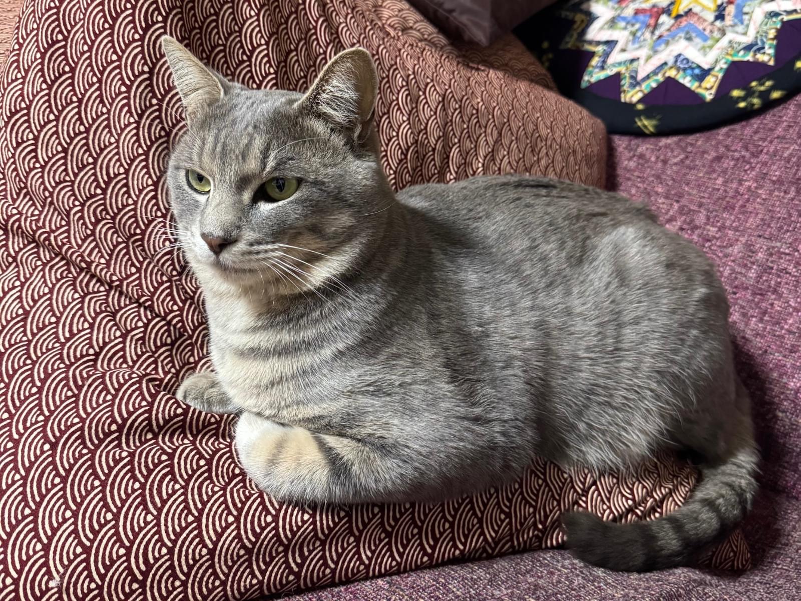 るるちゃん るるちゃん