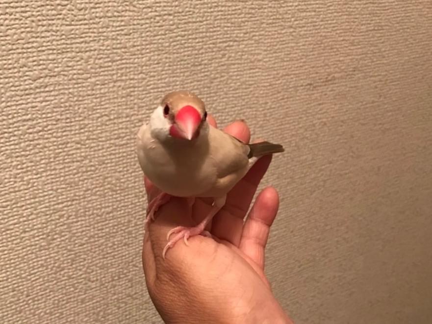 キキちゃん キキちゃん