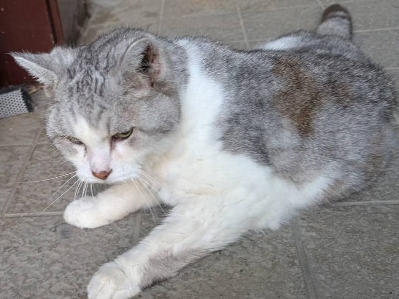 いちたろうちゃん