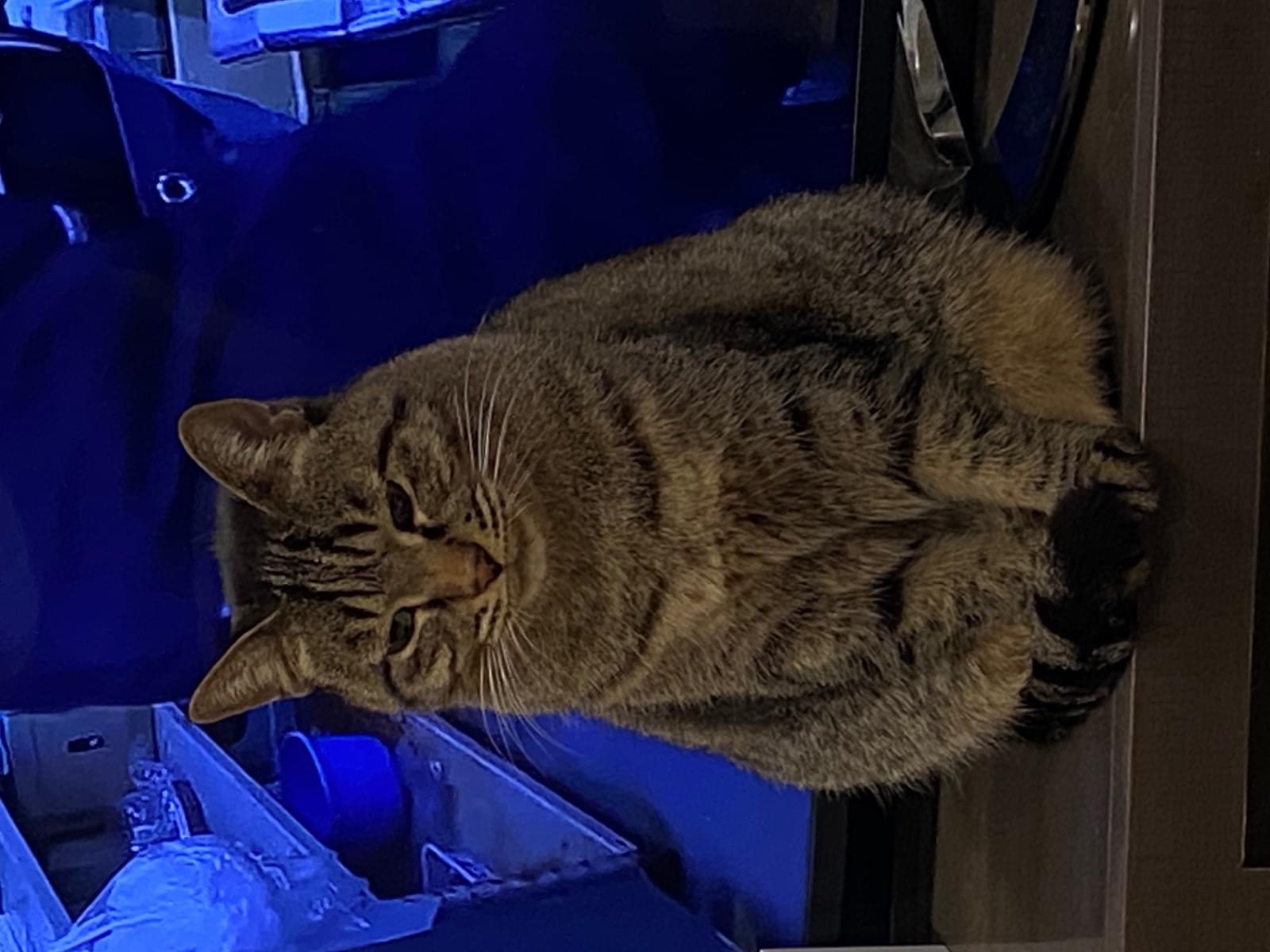 もーちゃん もーちゃん