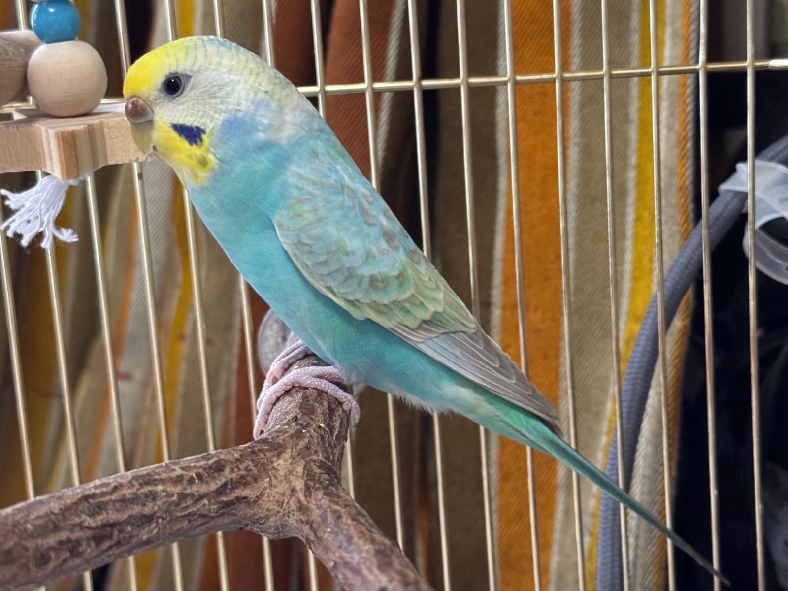 二郎ちゃん 二郎ちゃん