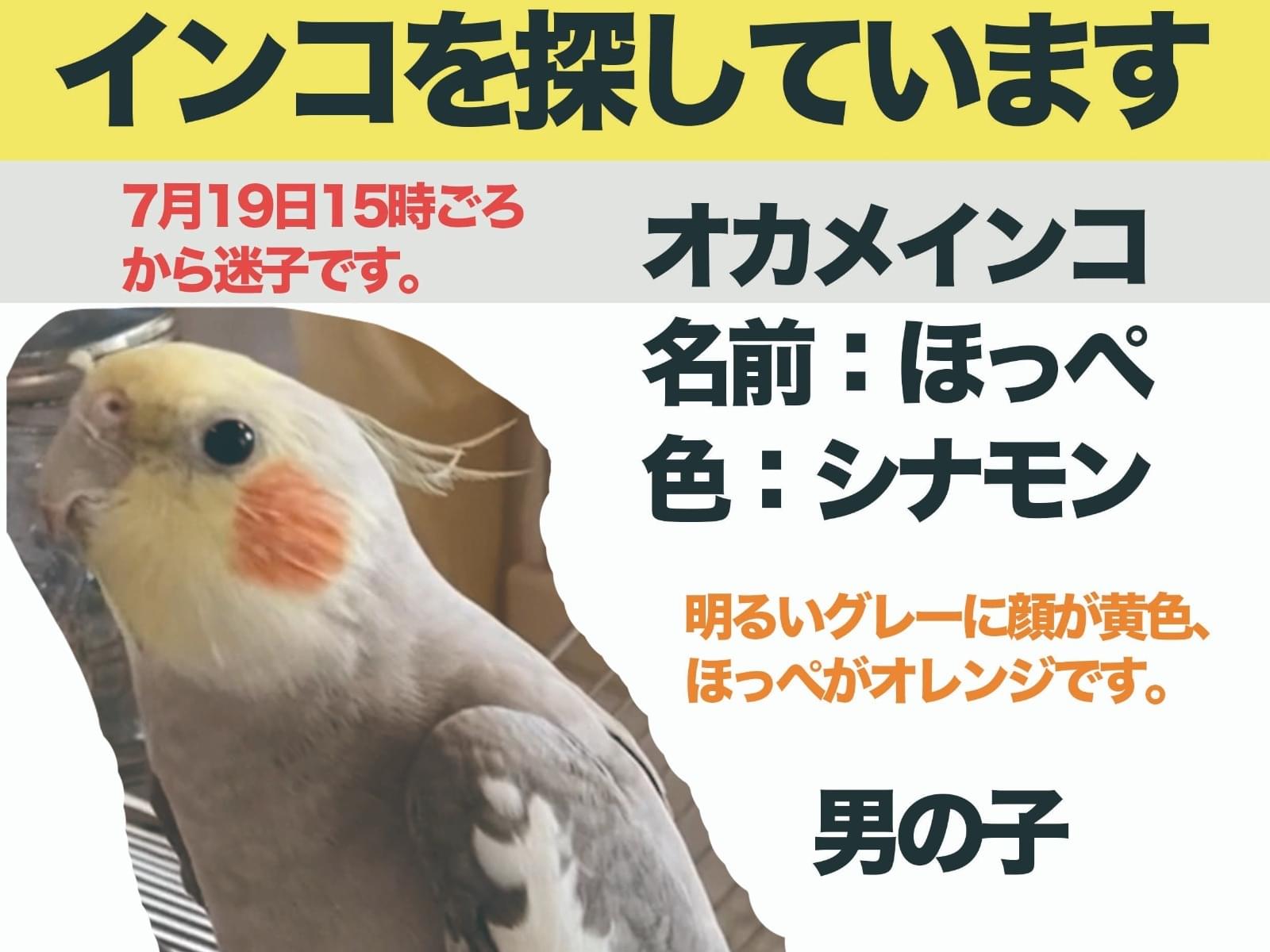 ほっぺちゃん ほっぺちゃん