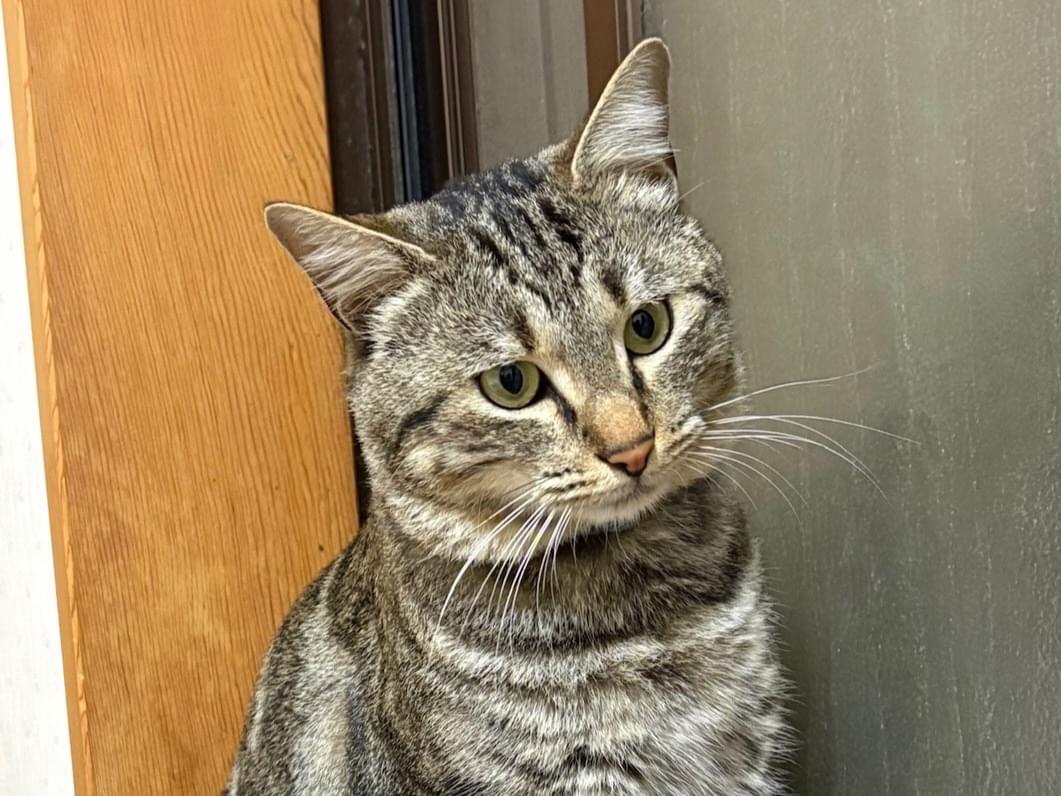 タビちゃん タビちゃん