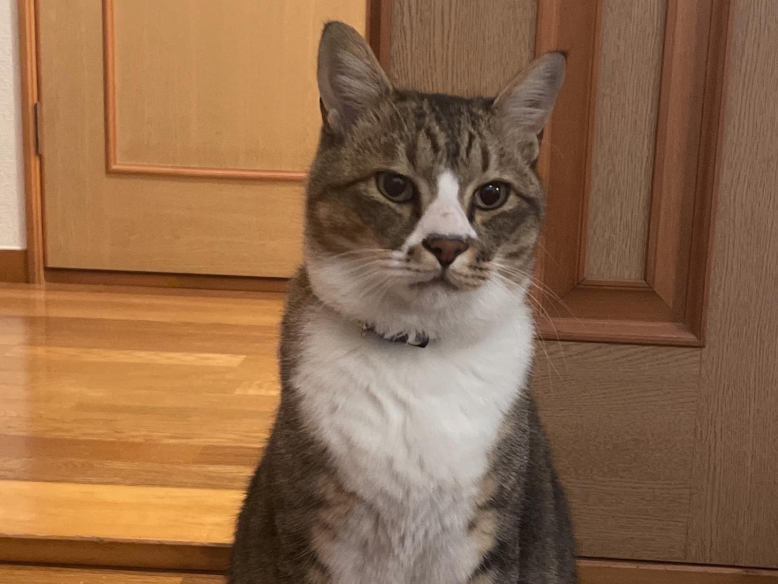 むうちゃん むうちゃん