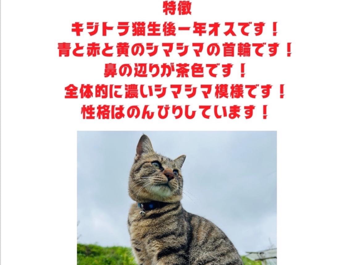シマちゃん シマちゃん