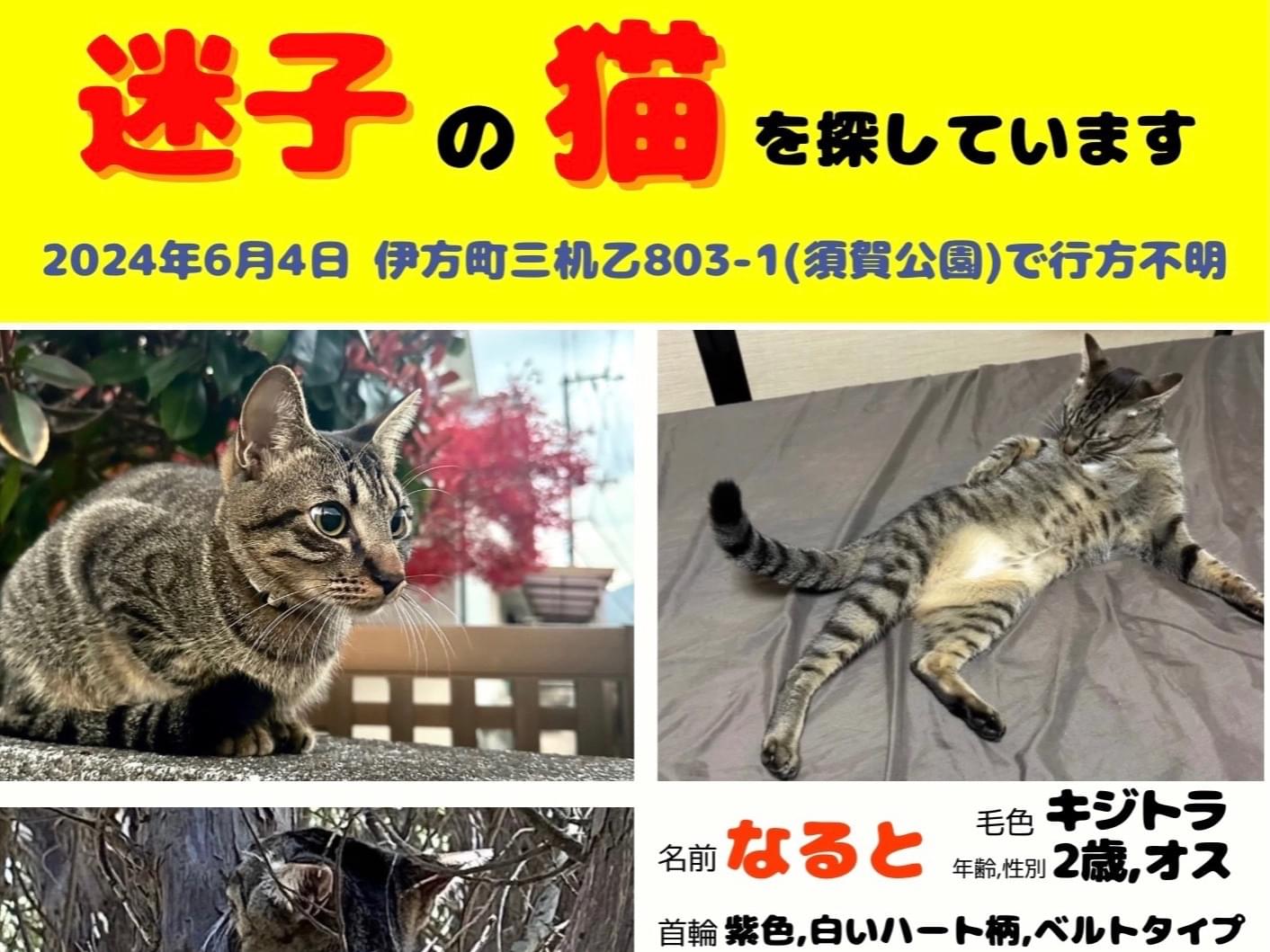 なるとちゃん なるとちゃん