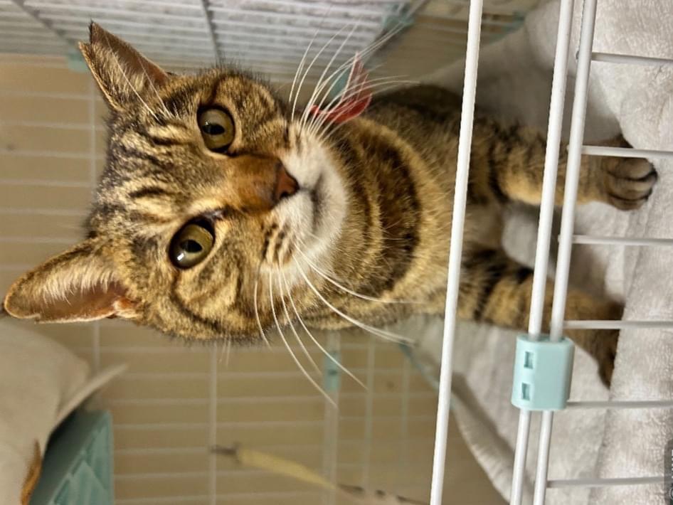 松ちゃん 松ちゃん