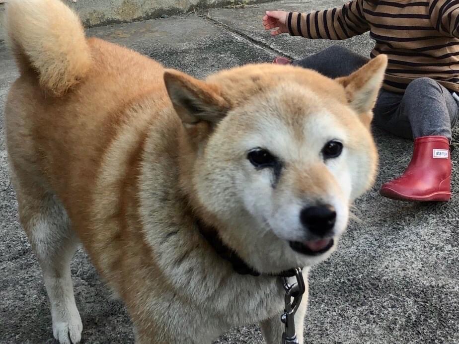 バナナちゃん バナナちゃん