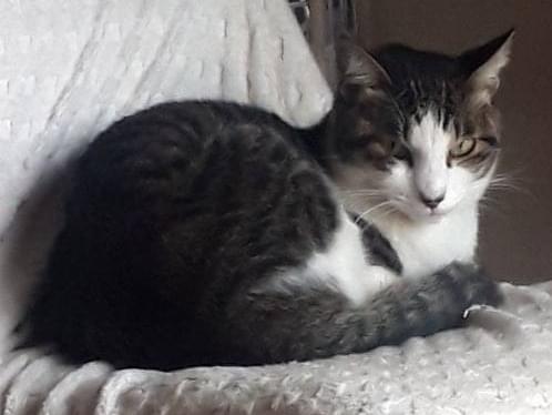 なこちゃん なこちゃん