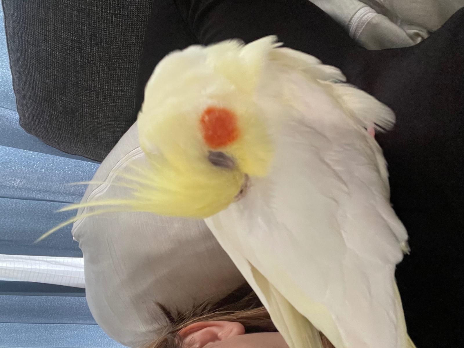 mi chanちゃん mi chanちゃん