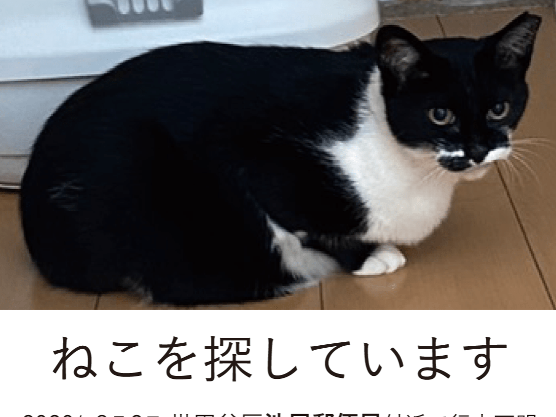 おにぎりちゃん おにぎりちゃん