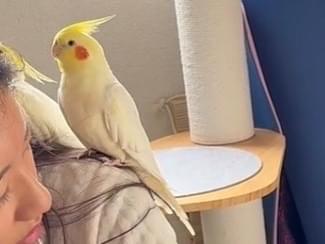 ペコちゃん