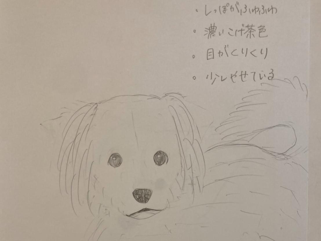 目撃された犬 目撃された犬