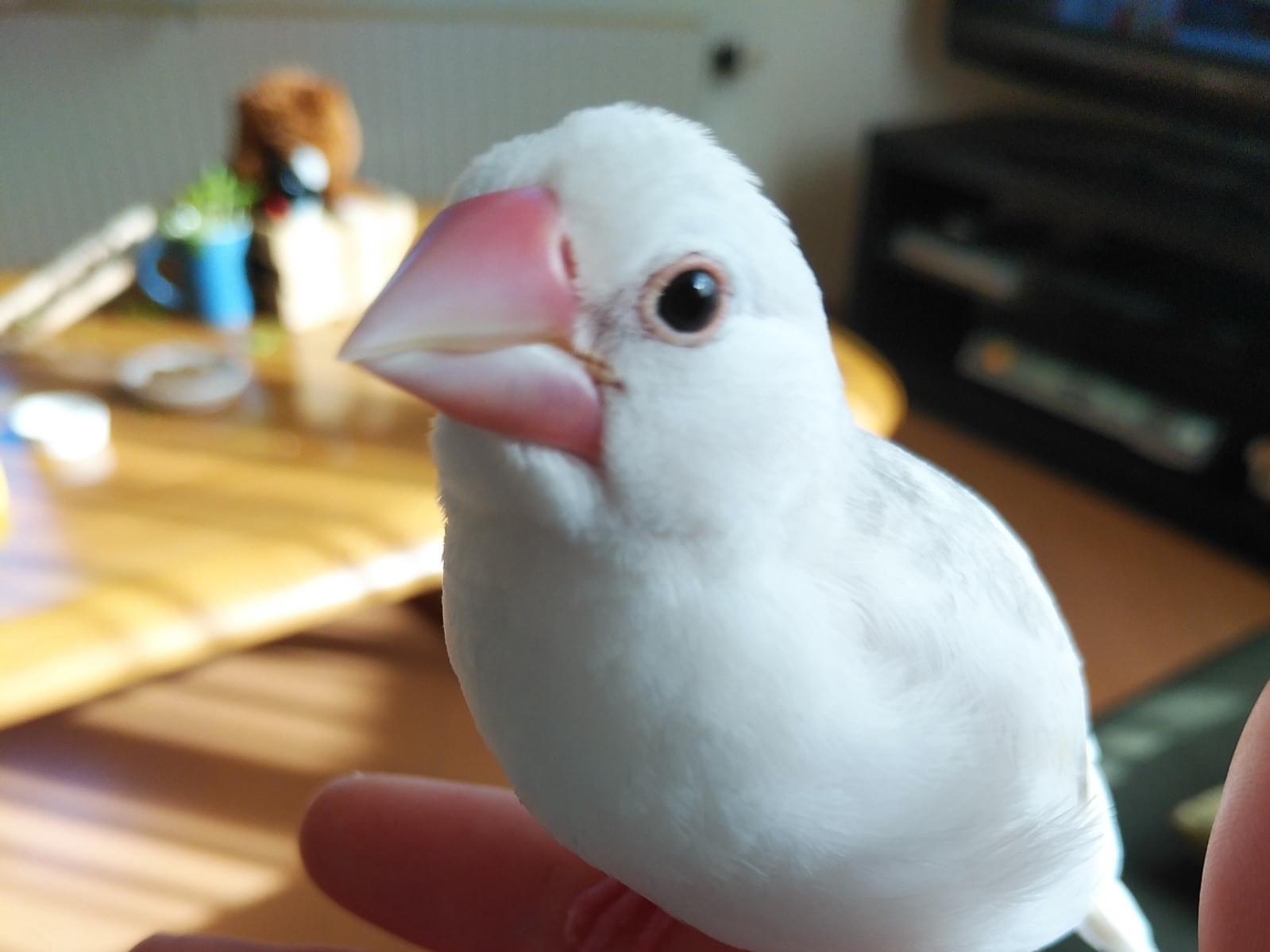 海斗ちゃん 海斗ちゃん