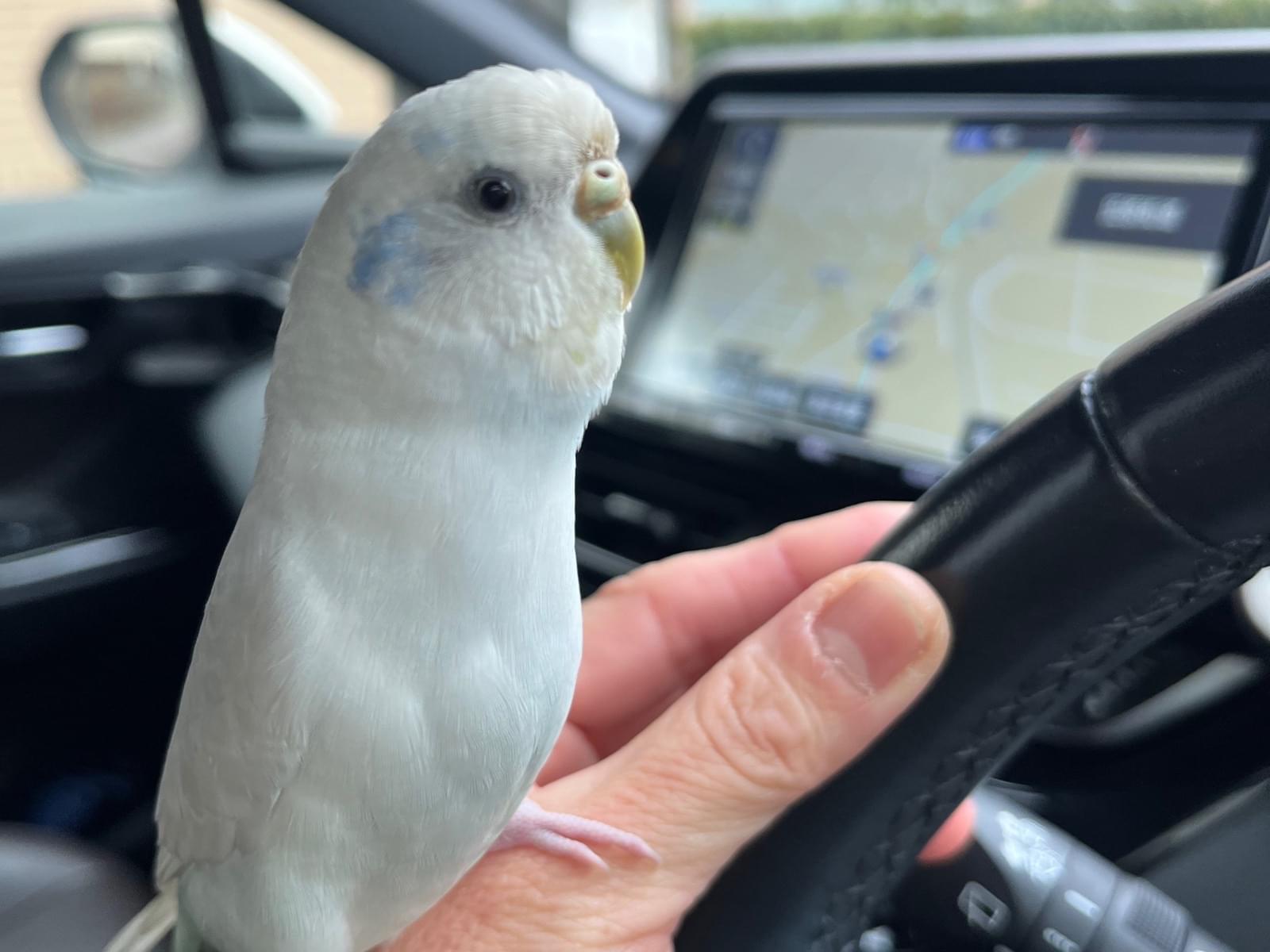 そらちゃん そらちゃん