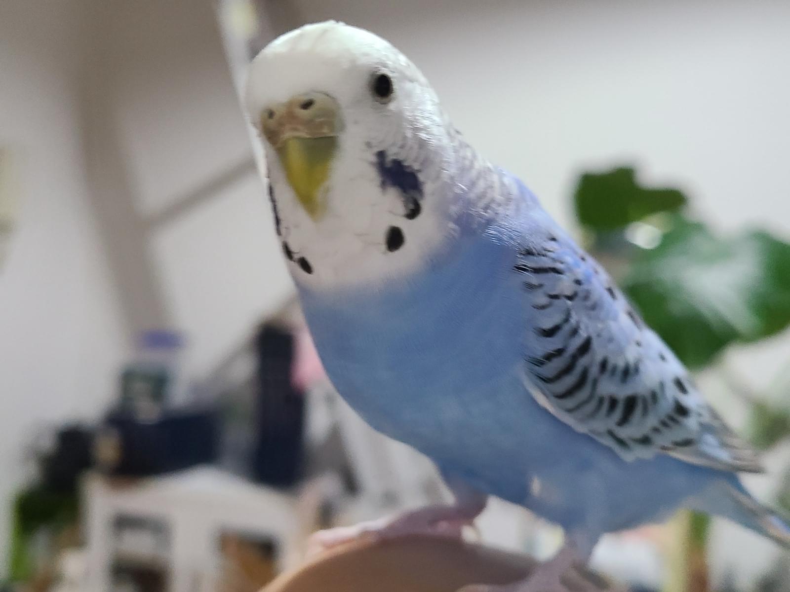 れいちゃん れいちゃん