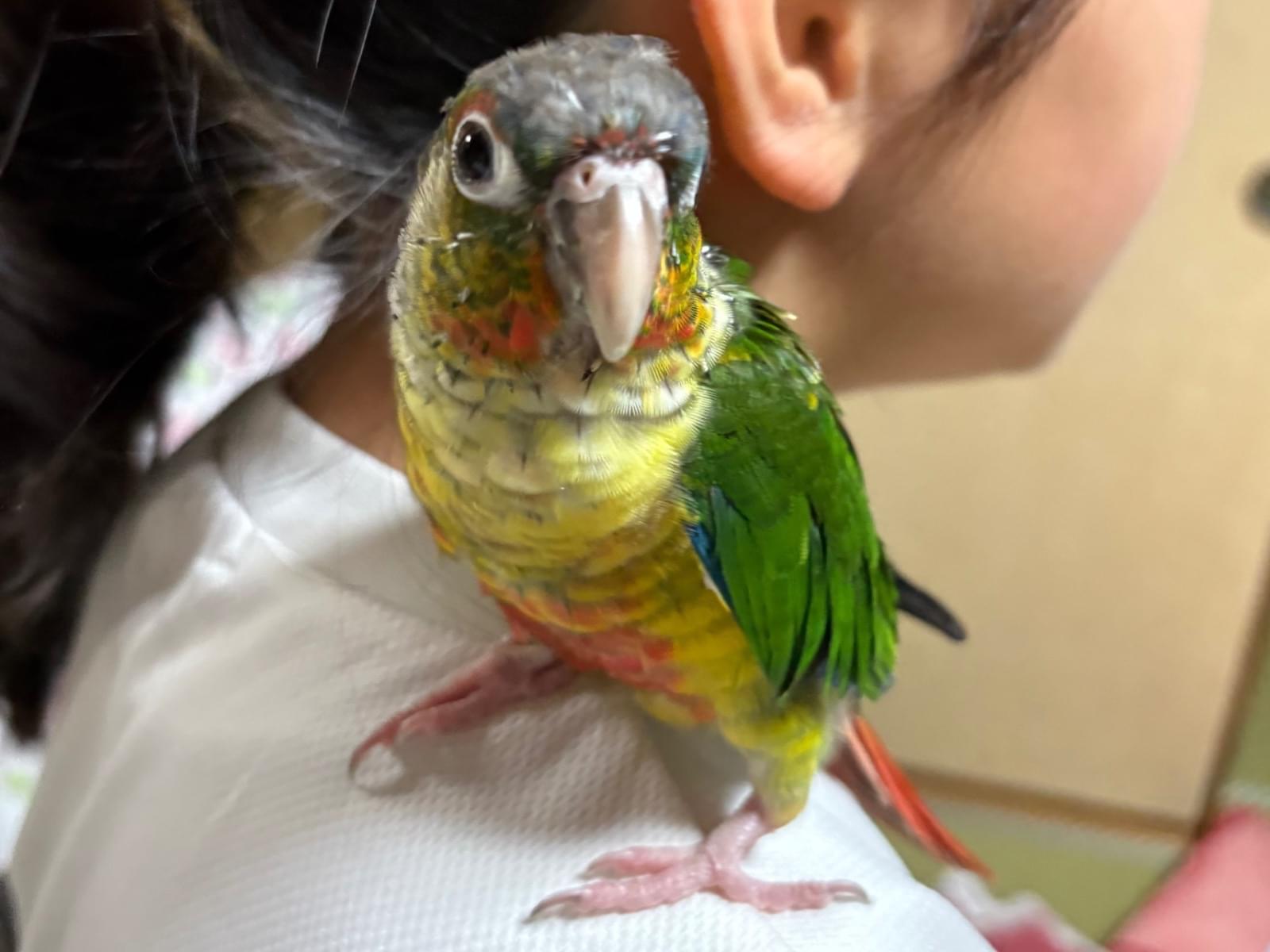 くぅちゃん くぅちゃん