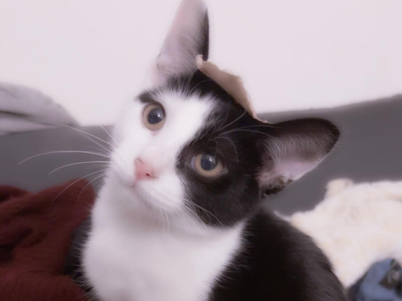 むーちゃん