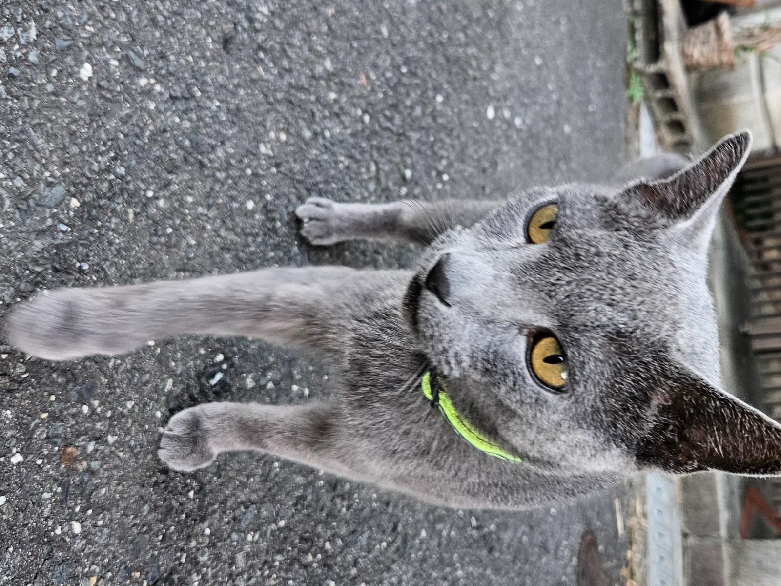 カラちゃん カラちゃん