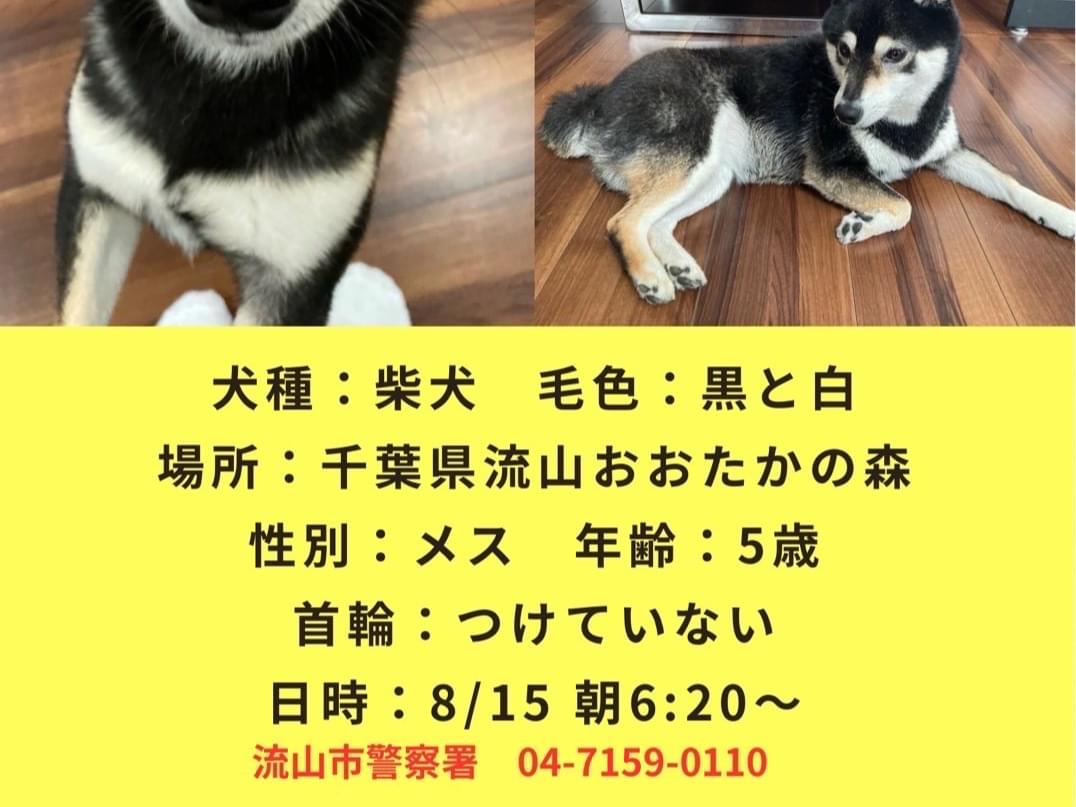 くうちゃん くうちゃん