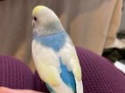 むっちゃん むっちゃん