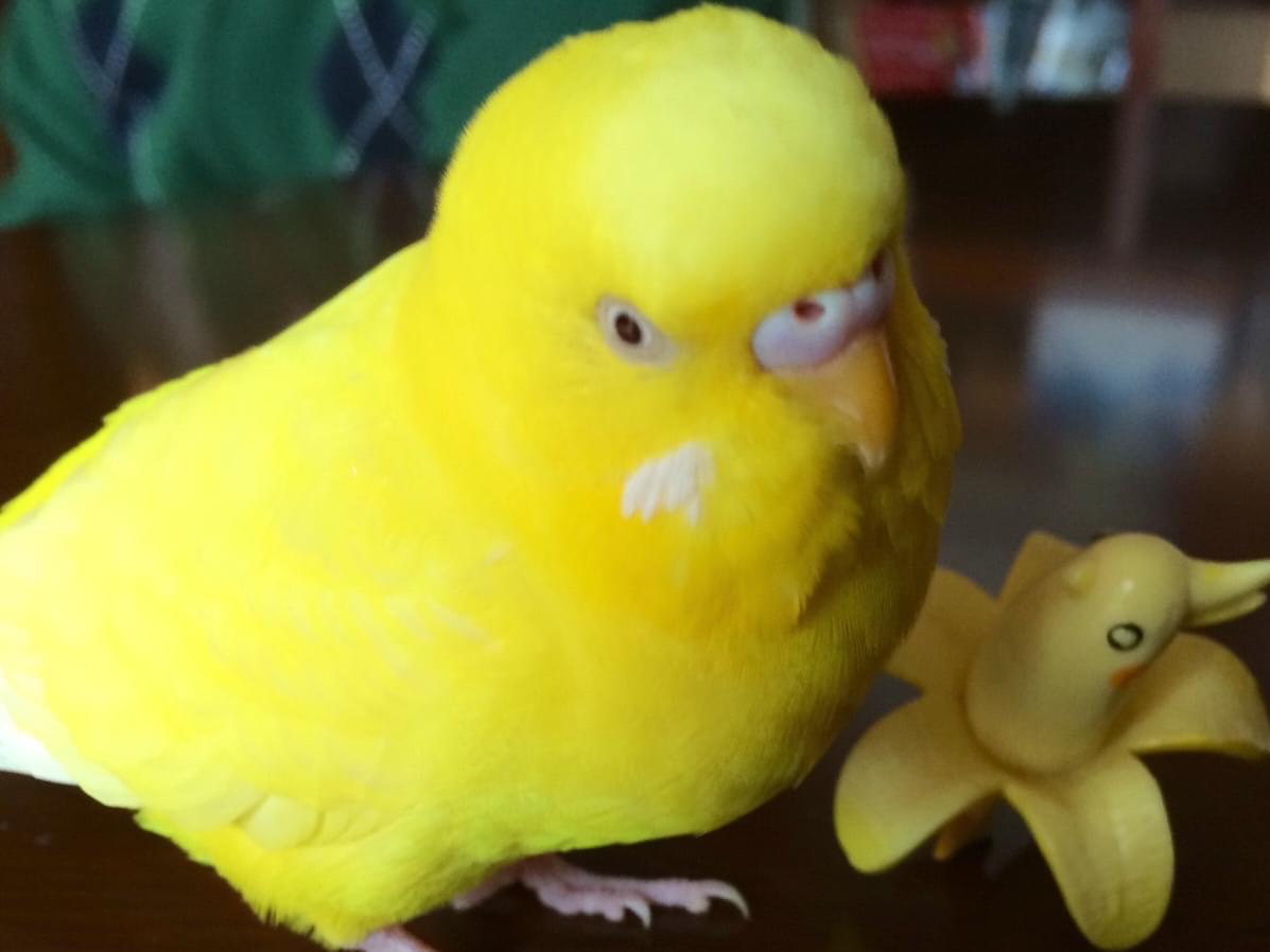 うめちゃん うめちゃん
