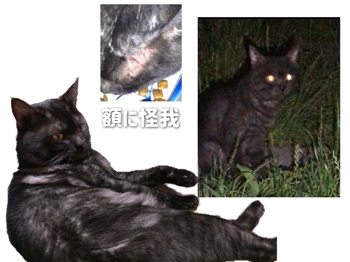 クゥーちゃん クゥーちゃん