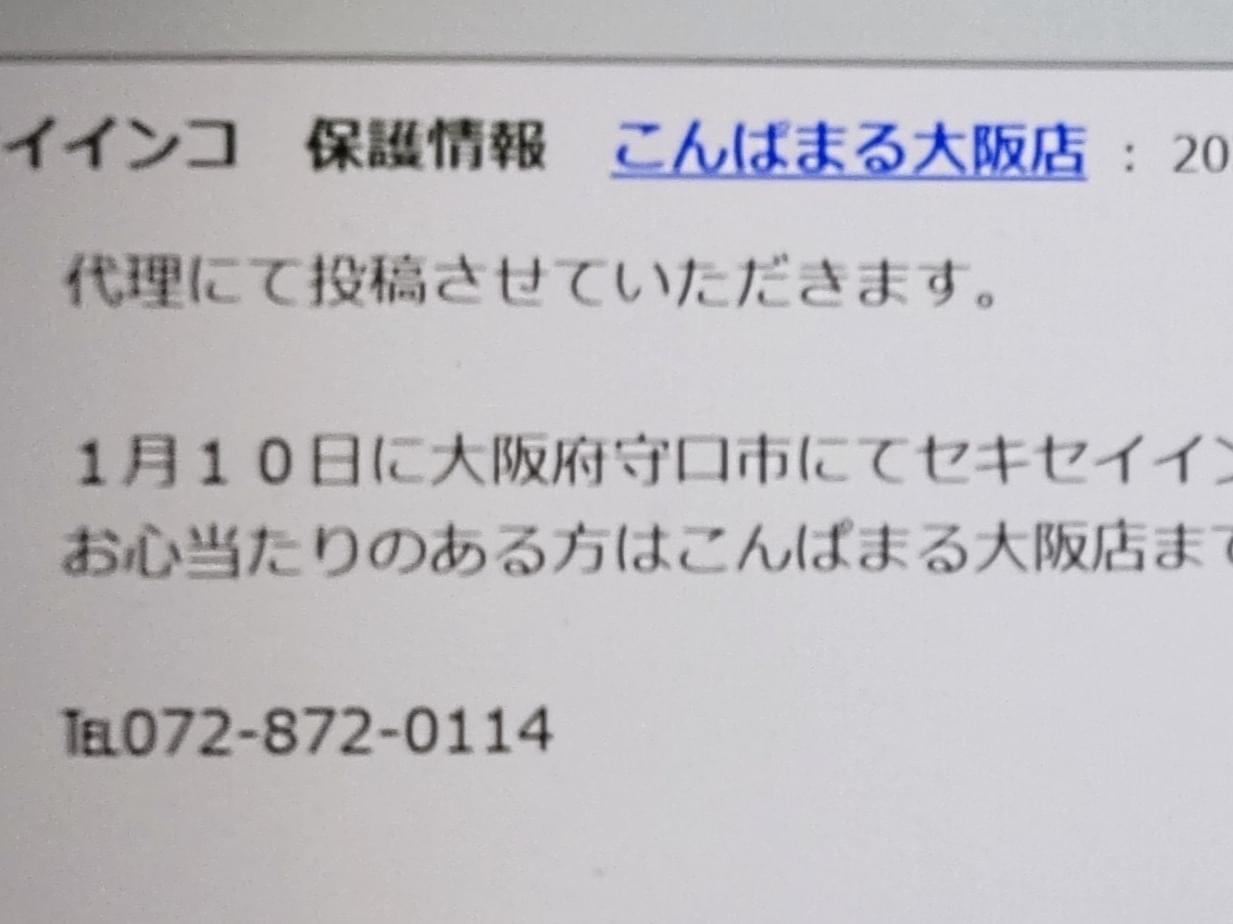 保護された鳥 保護された鳥