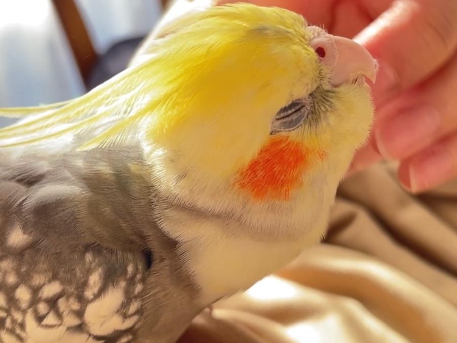 祥太朗ちゃん