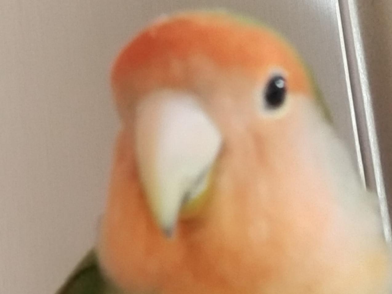 サグちゃん サグちゃん