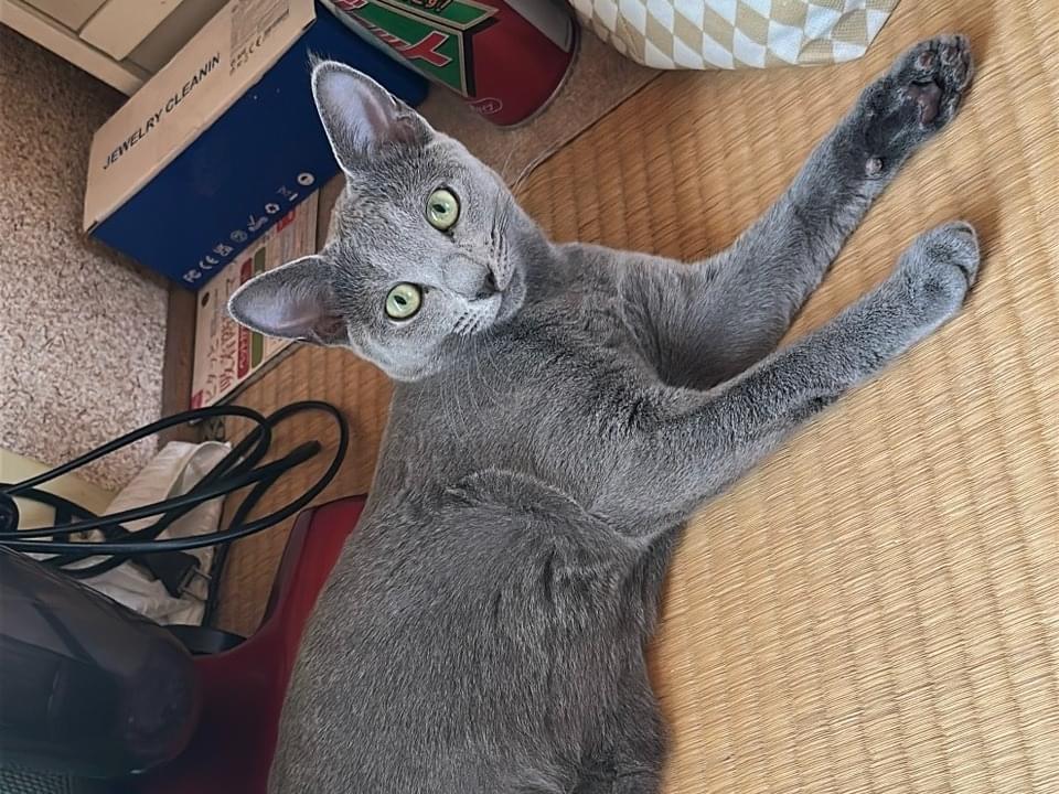 ムーちゃん