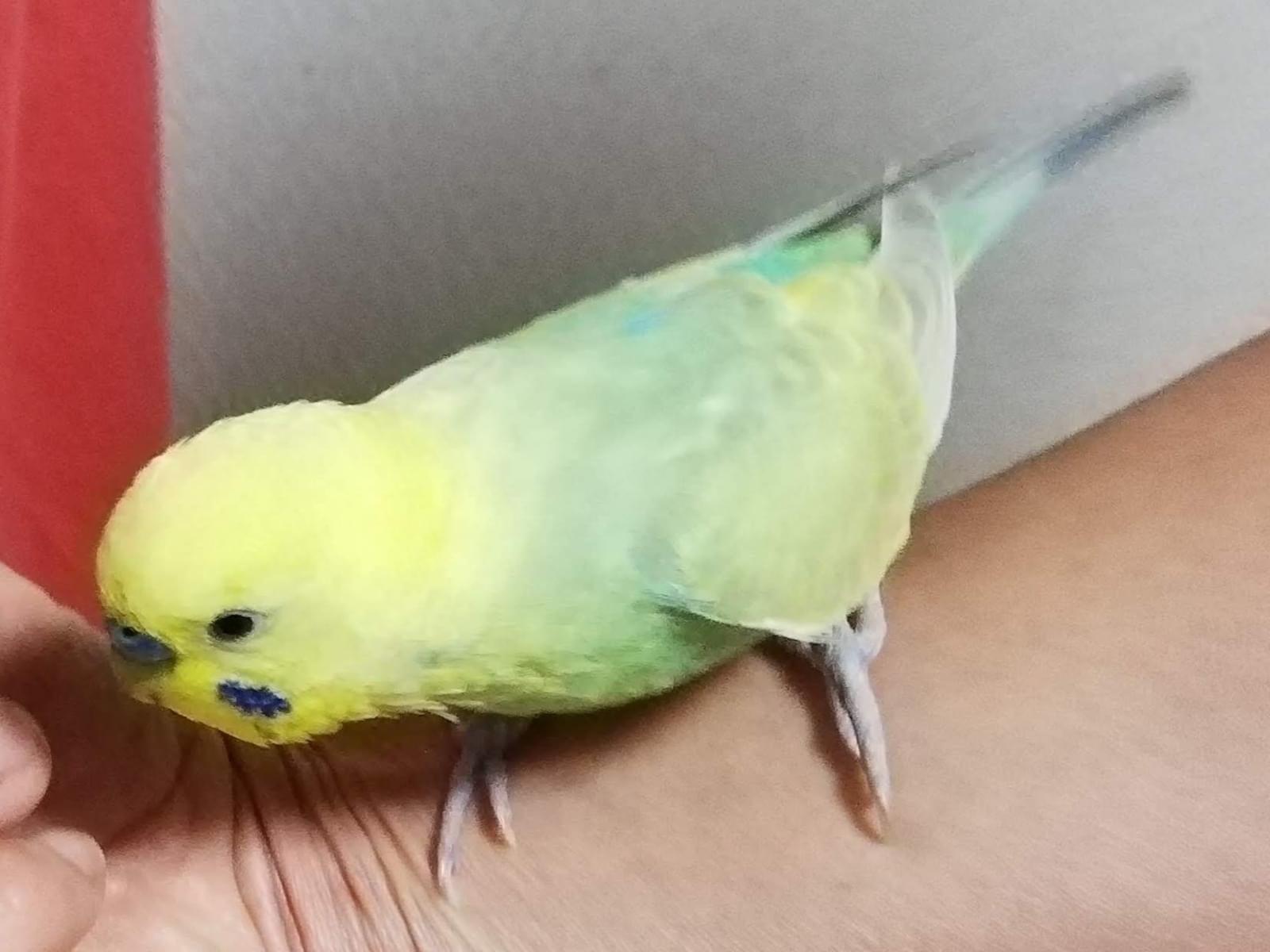 れいちゃん れいちゃん