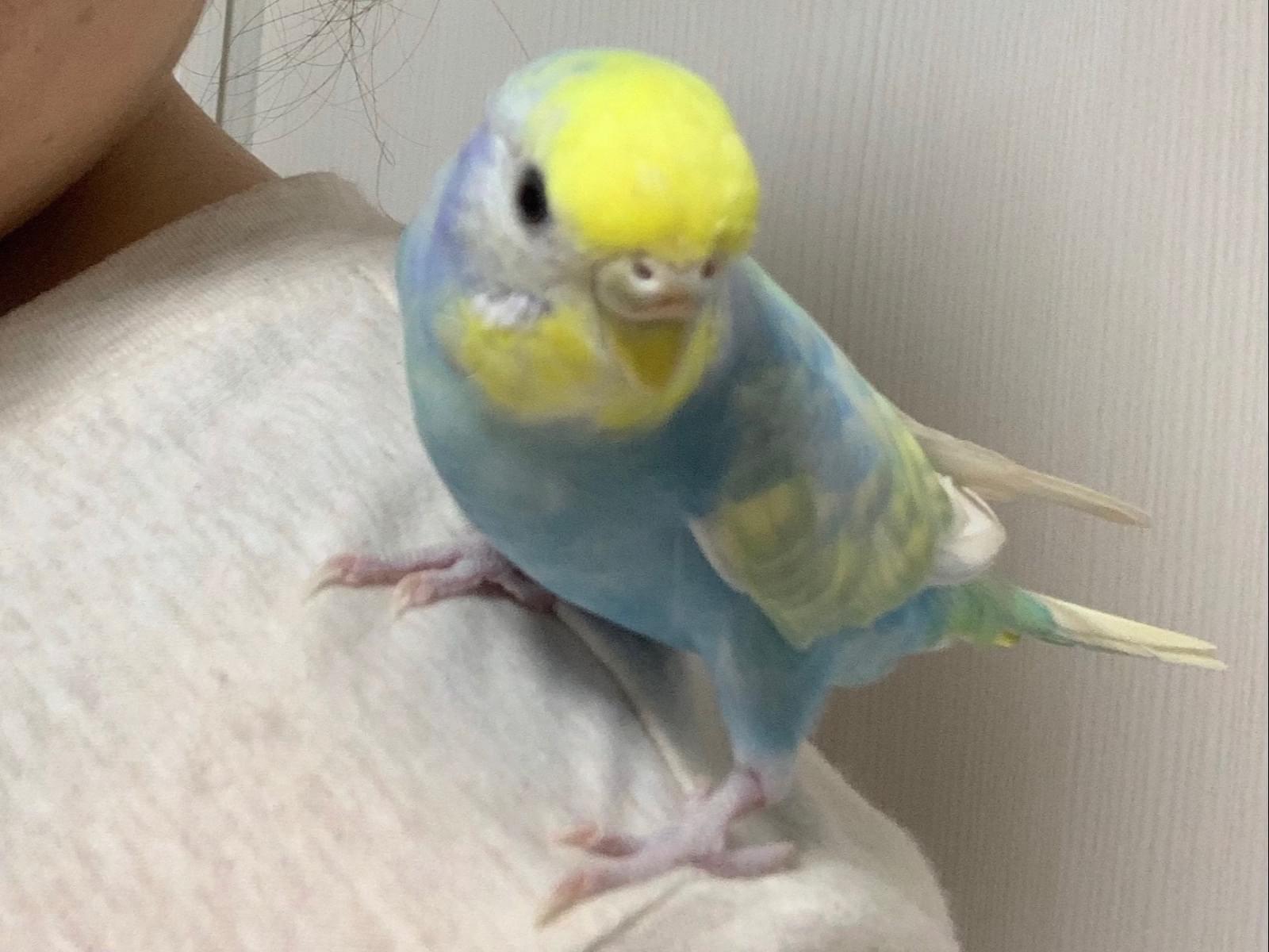 そらちゃん そらちゃん