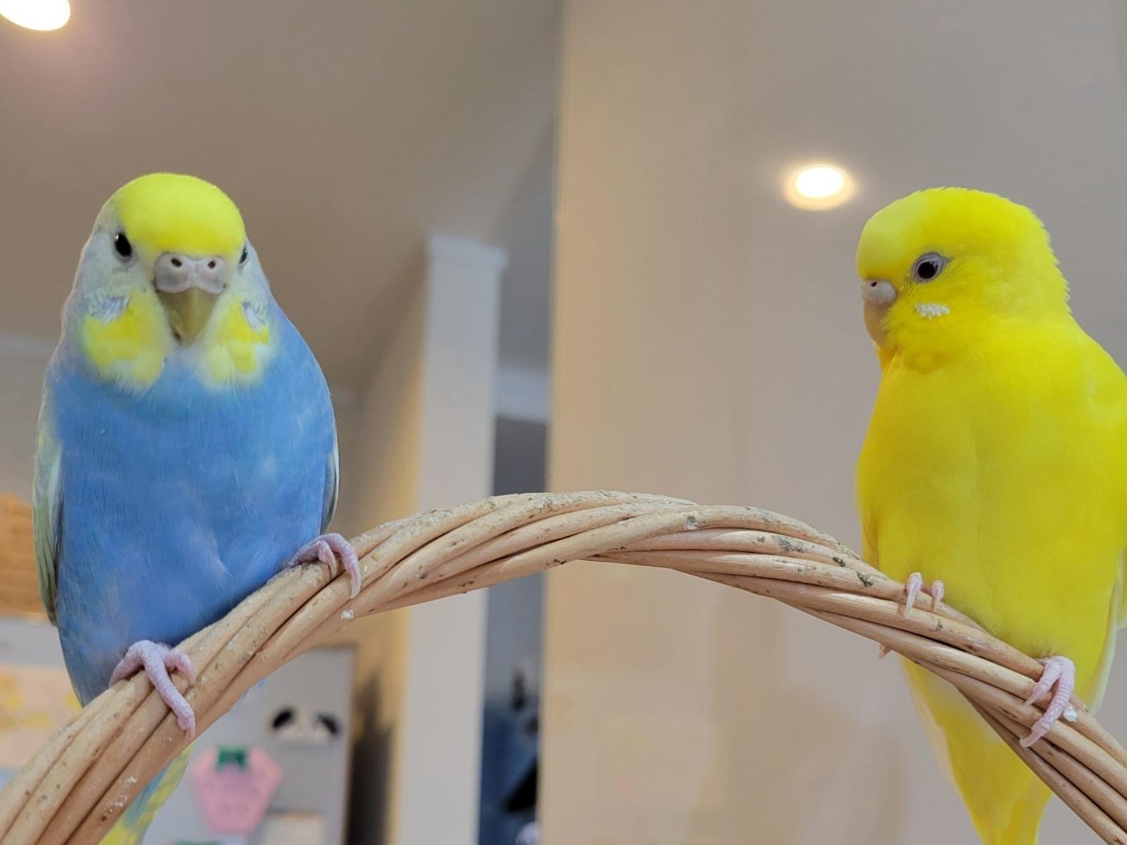 ツキちゃん ツキちゃん