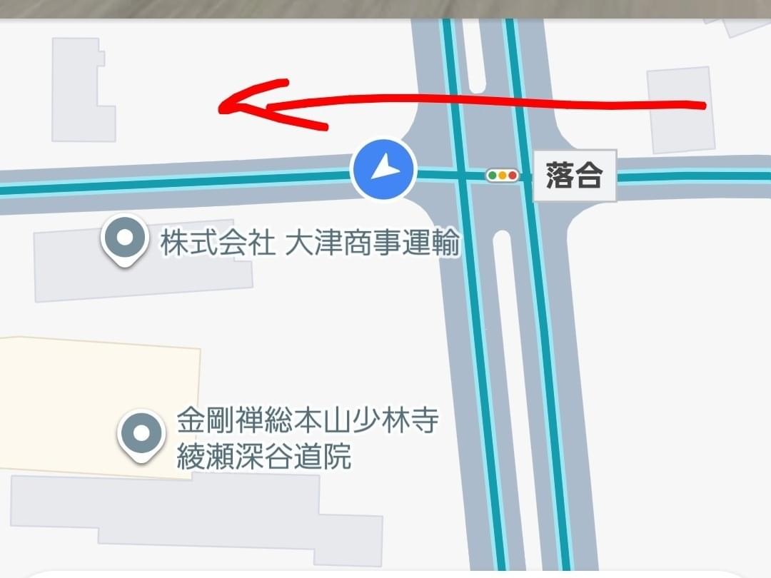 目撃された犬