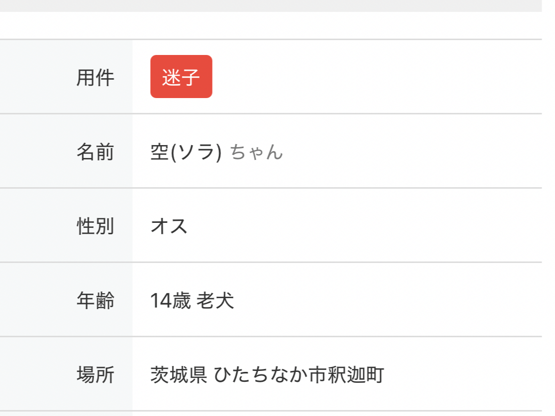 目撃された犬 目撃された犬