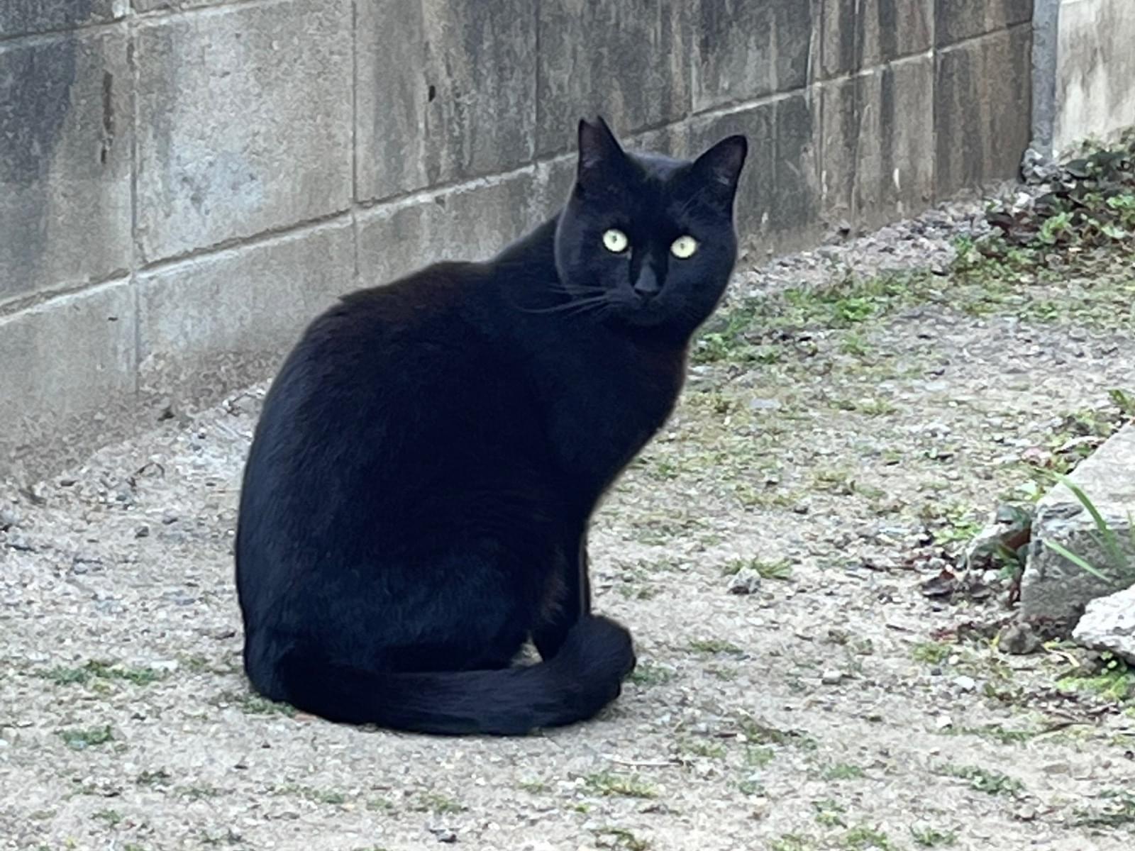 ポノちゃん ポノちゃん
