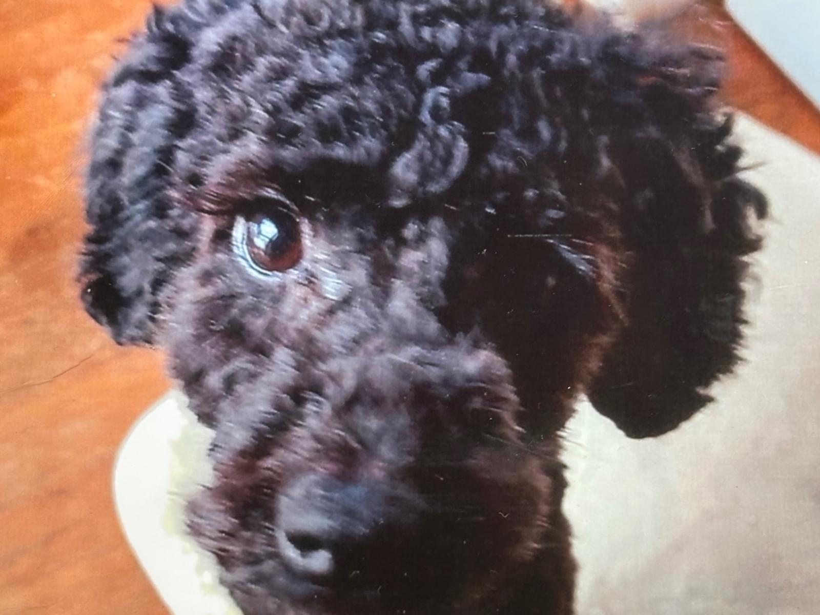 べべちゃん べべちゃん