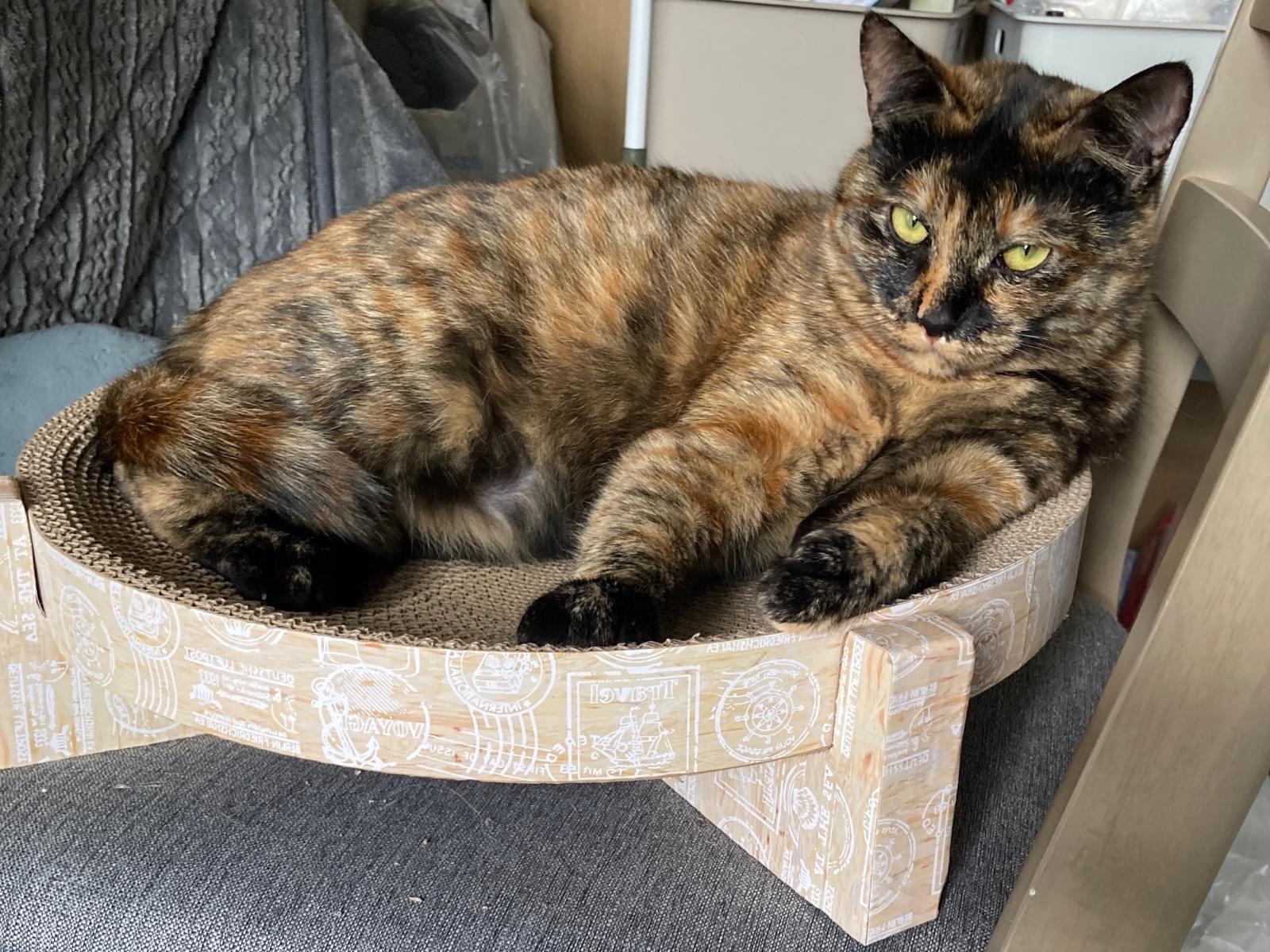 琥玄ちゃん 琥玄ちゃん