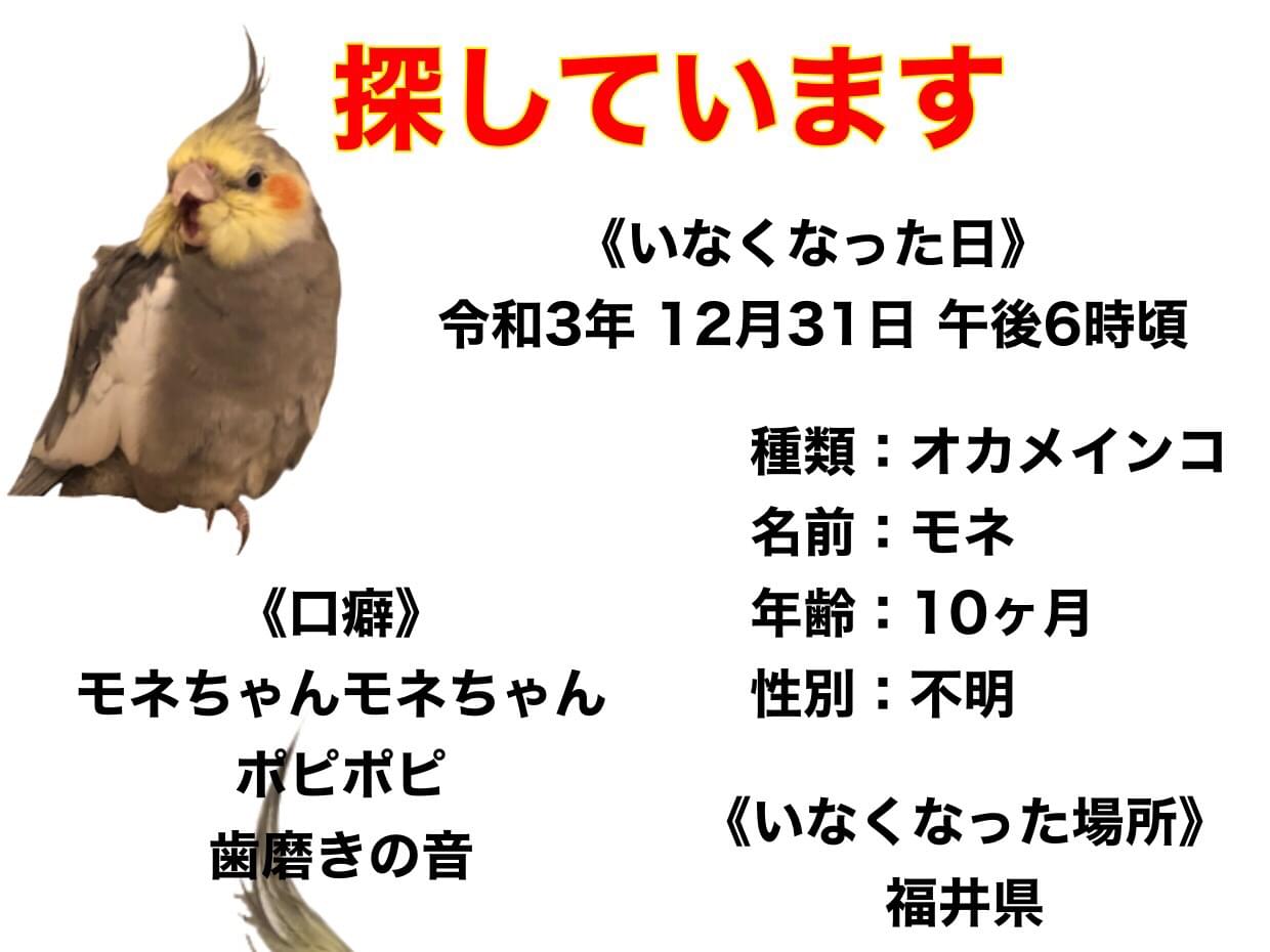 モネちゃん モネちゃん