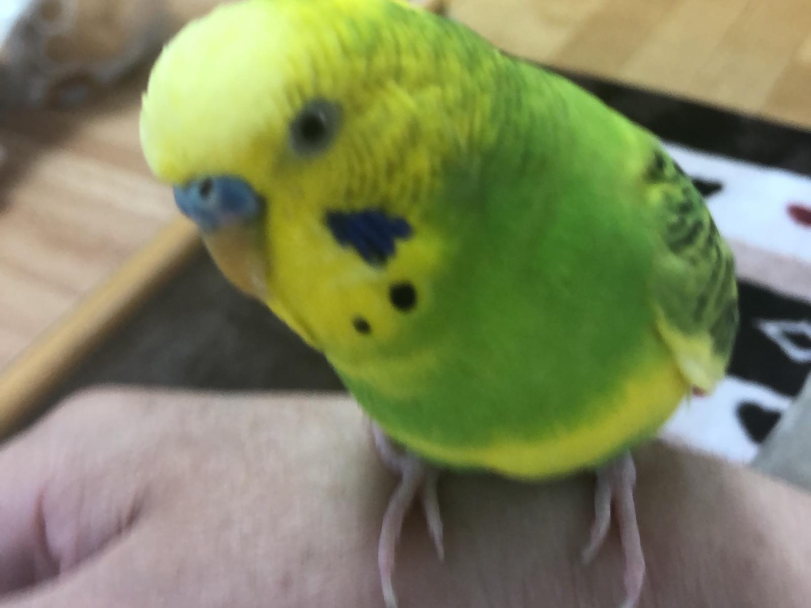 こうちゃん こうちゃん