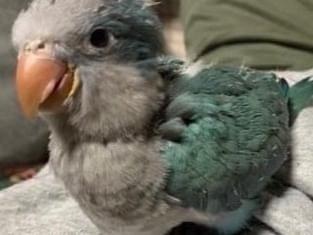 アオちゃん アオちゃん