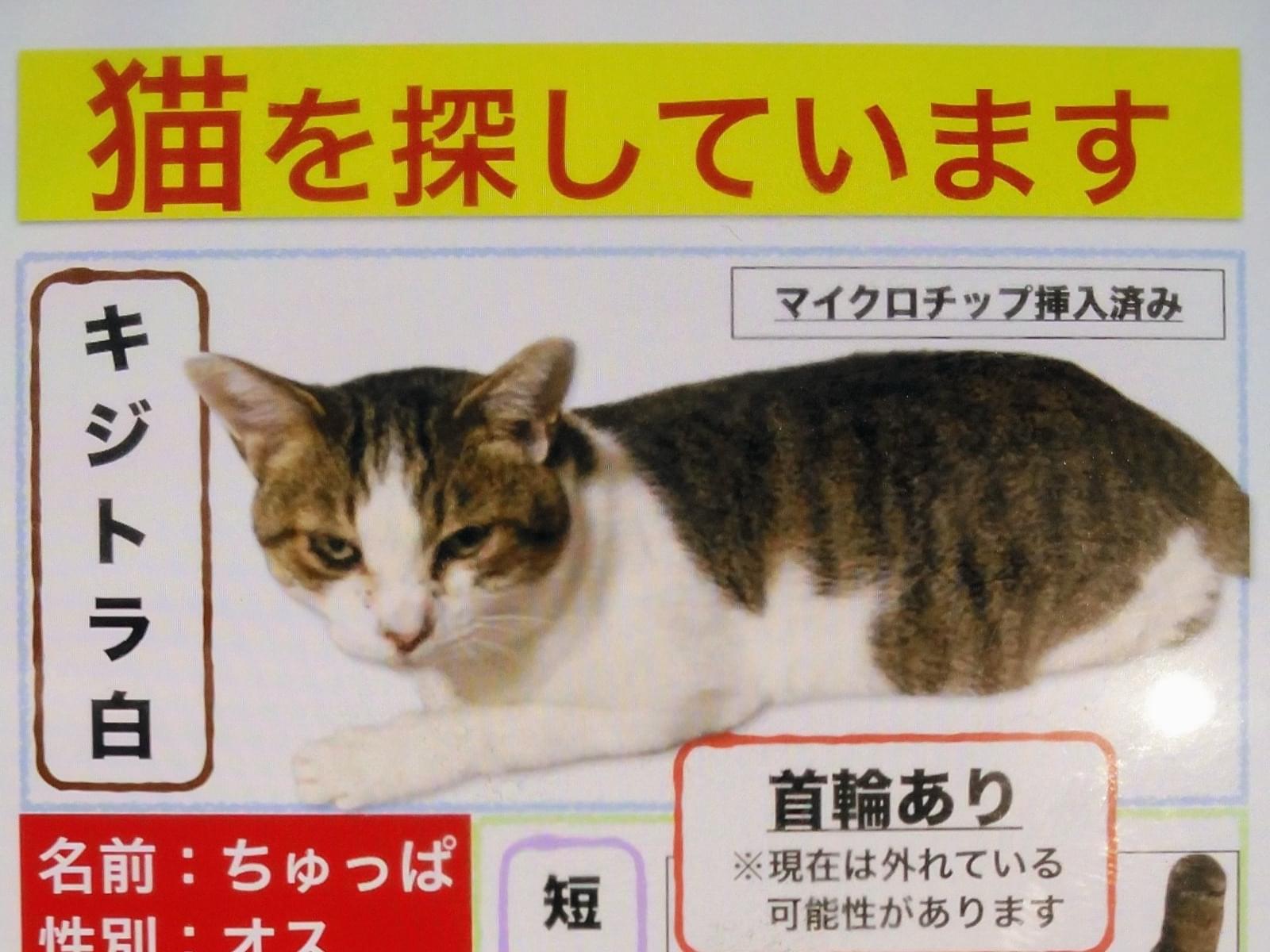 ちゅっぱちゃん ちゅっぱちゃん