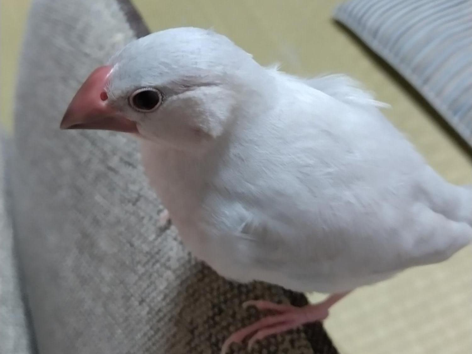 そらちゃん そらちゃん
