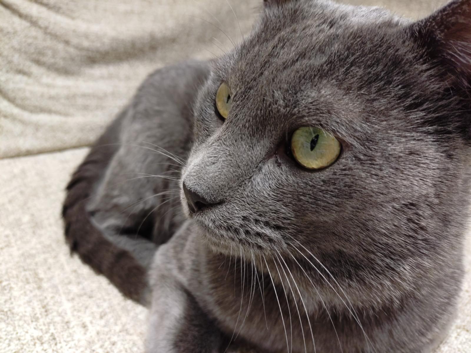 ルーベンちゃん