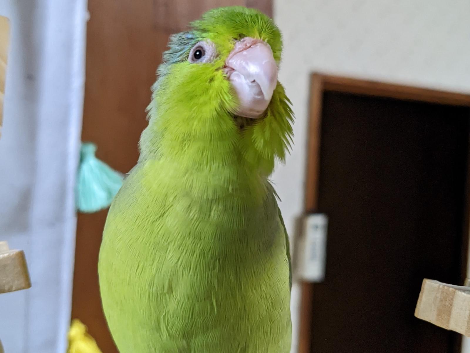 ちびちゃん ちびちゃん