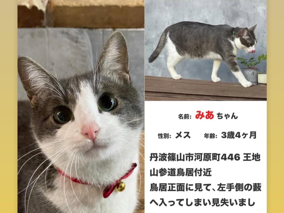 みあちゃん みあちゃん