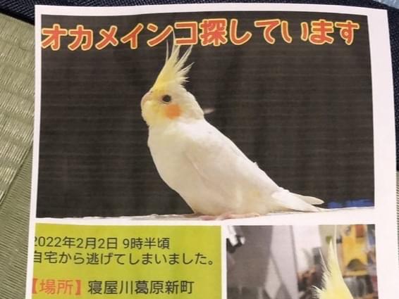 こまちゃん こまちゃん